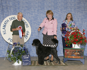 BIS Judge Bob Stein Klamath Oregon 2010